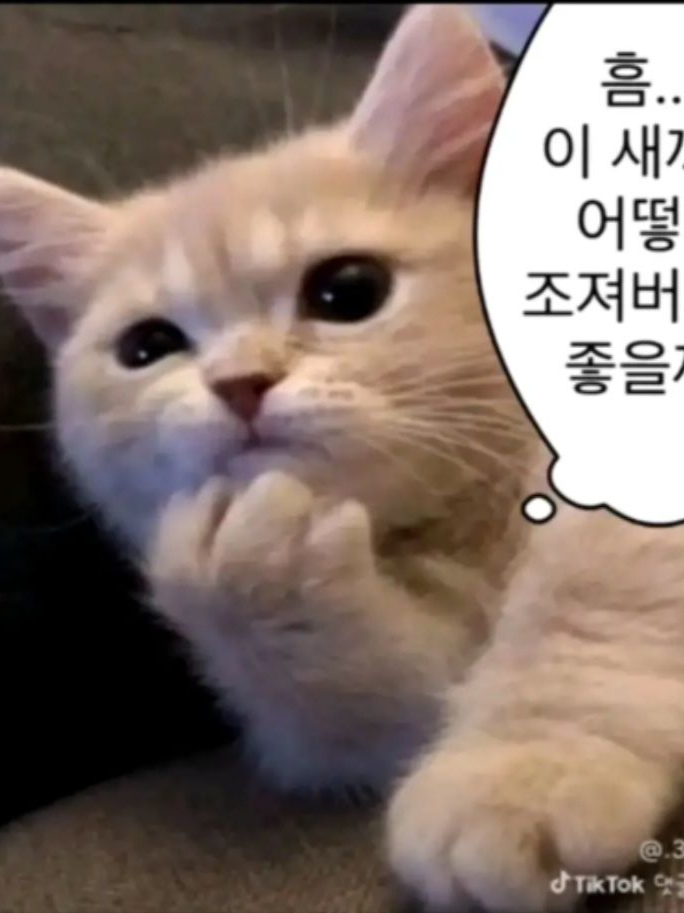 더 이상의 이해는 없음 대표 이미지