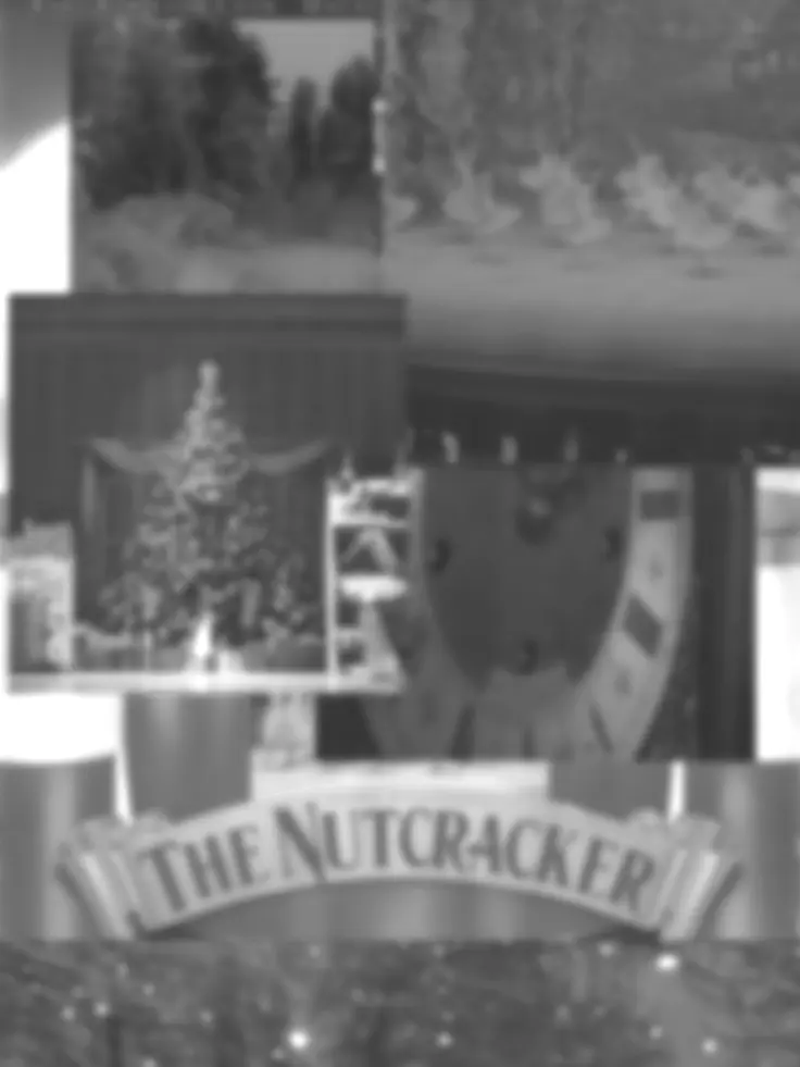 DONMISAE5의 Nußknacker