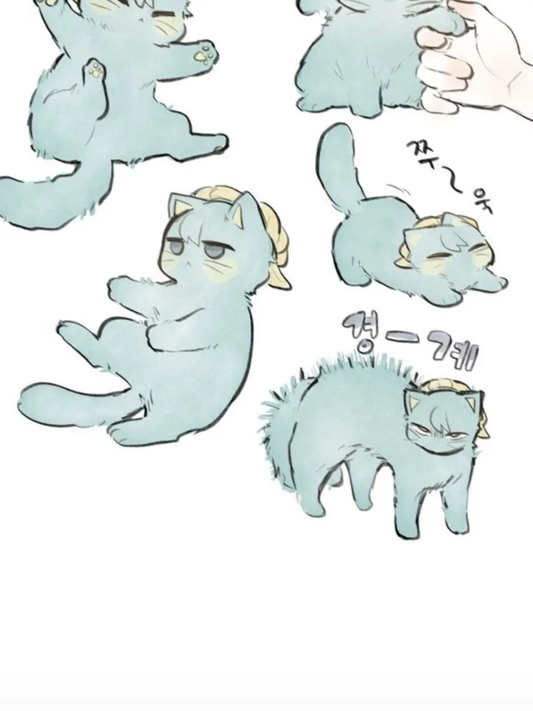 Nooband1의 고양이픽셀리><