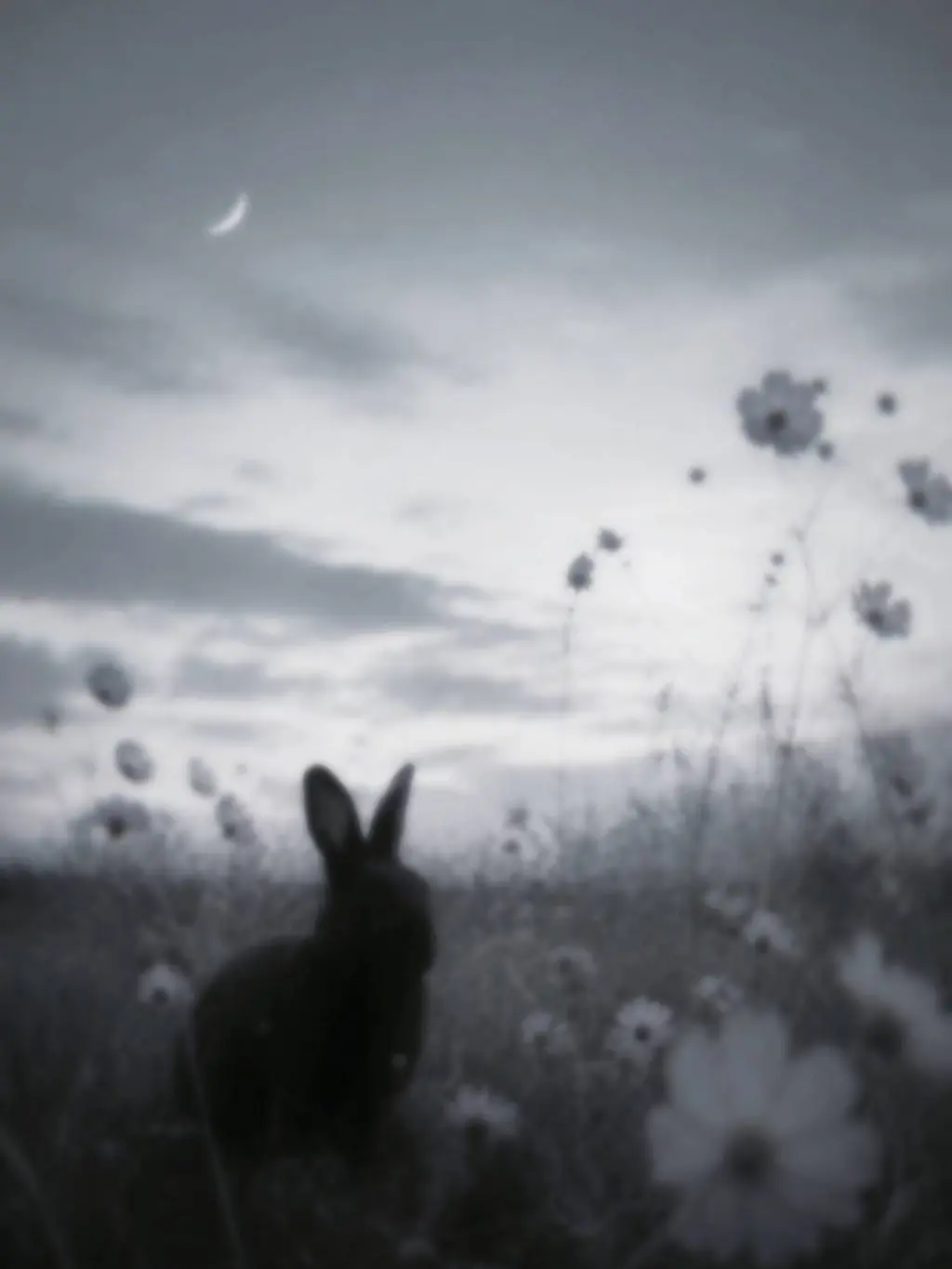 melancholy11의 ꪔ̤̮