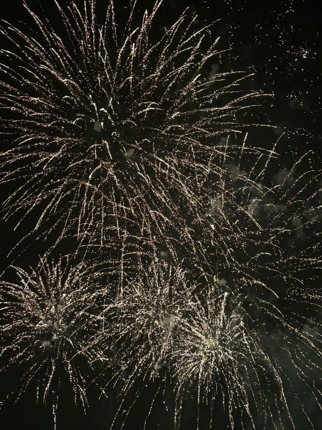 FatDingo9339의 クラス1のモテ男