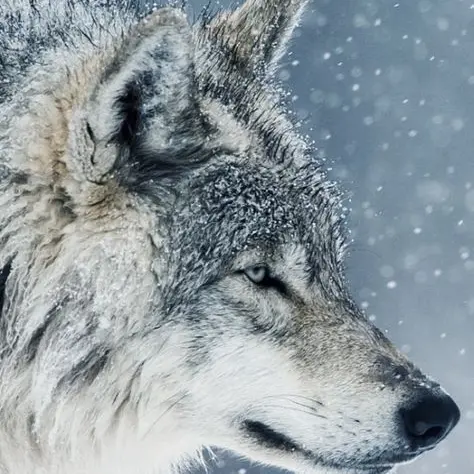 PureMud8717의 森の中で初めまして…