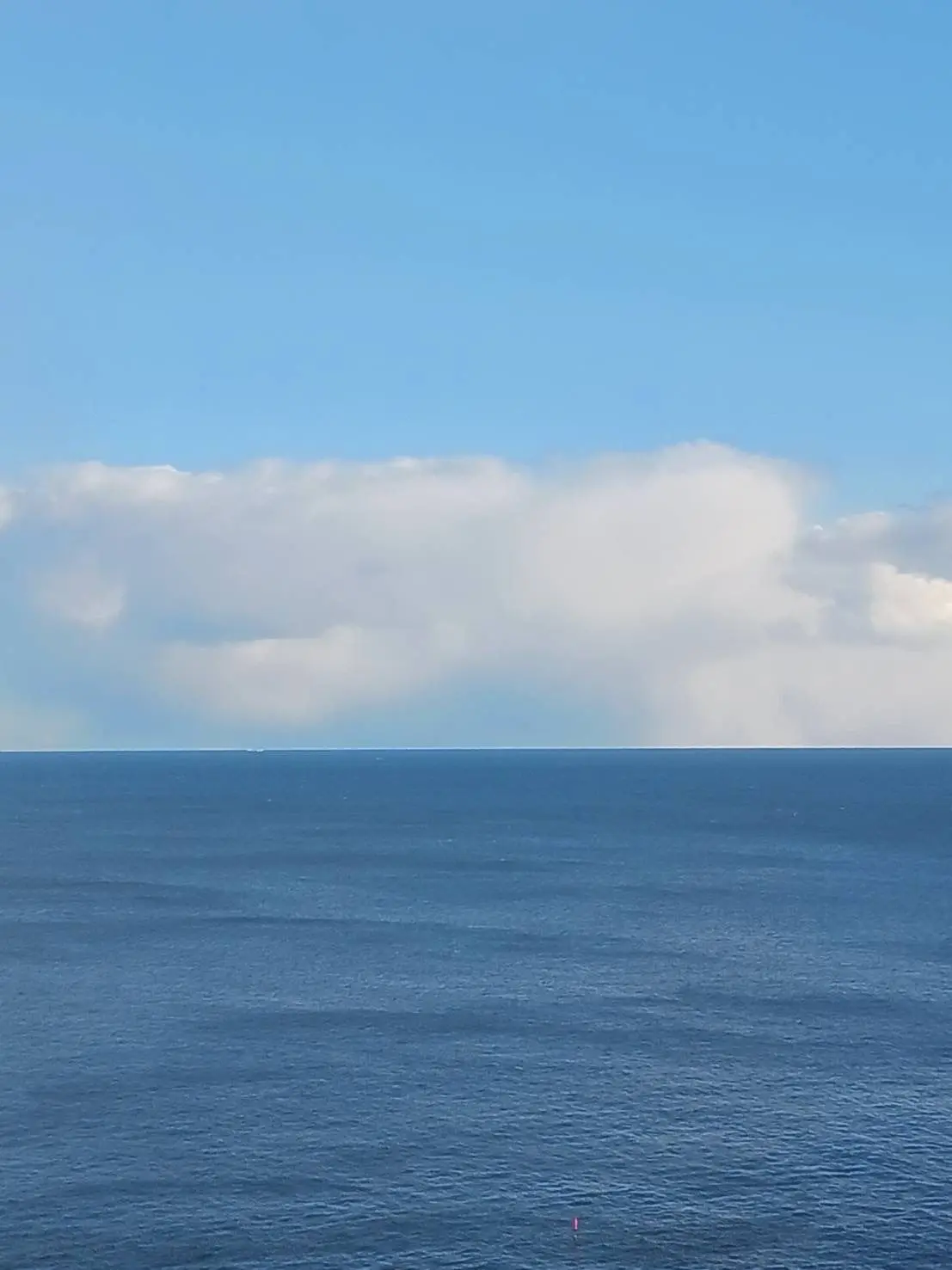 SalmonWeek7464의 君の相棒に…