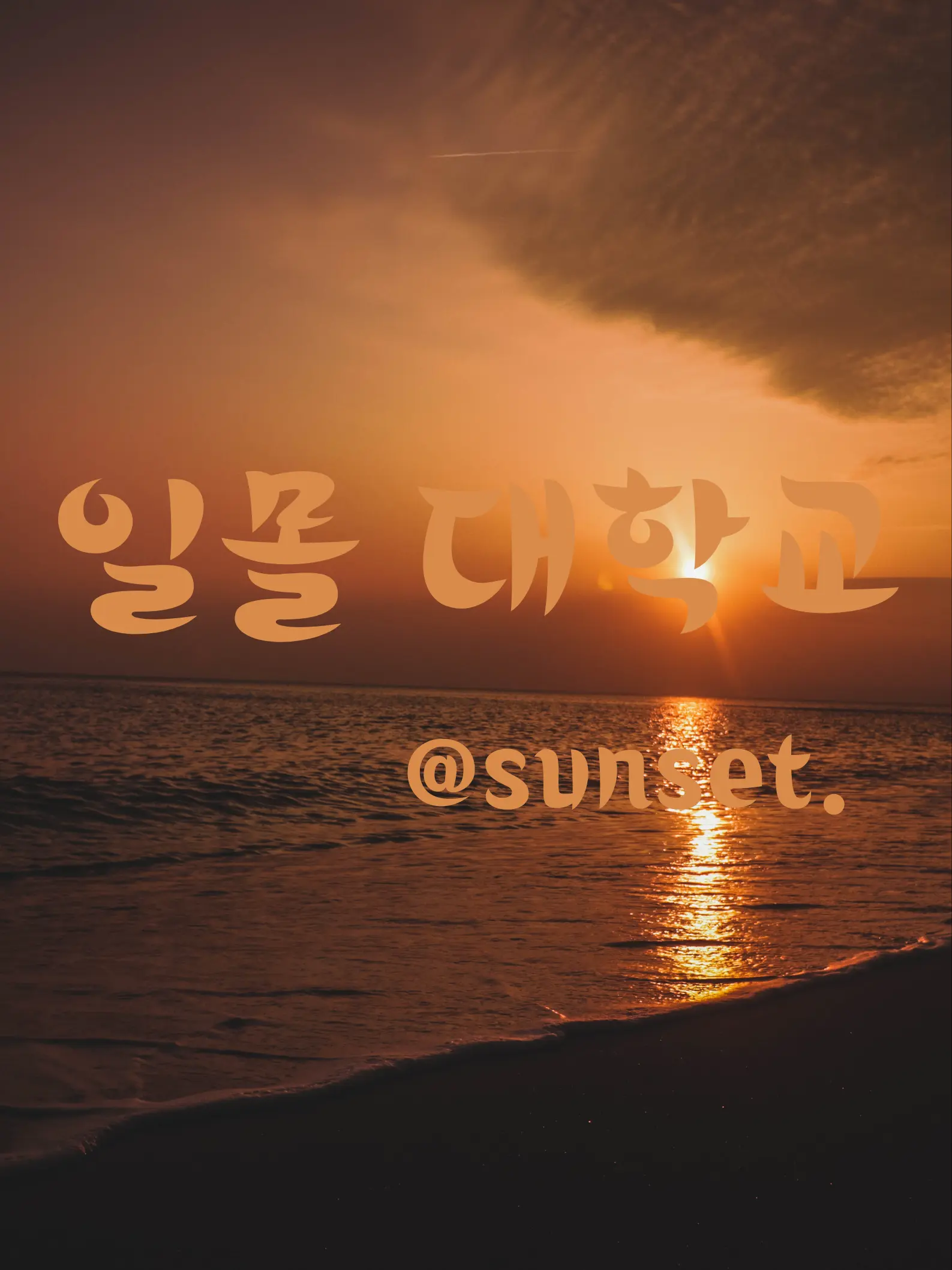 crescent..의 일몰대학교🌅