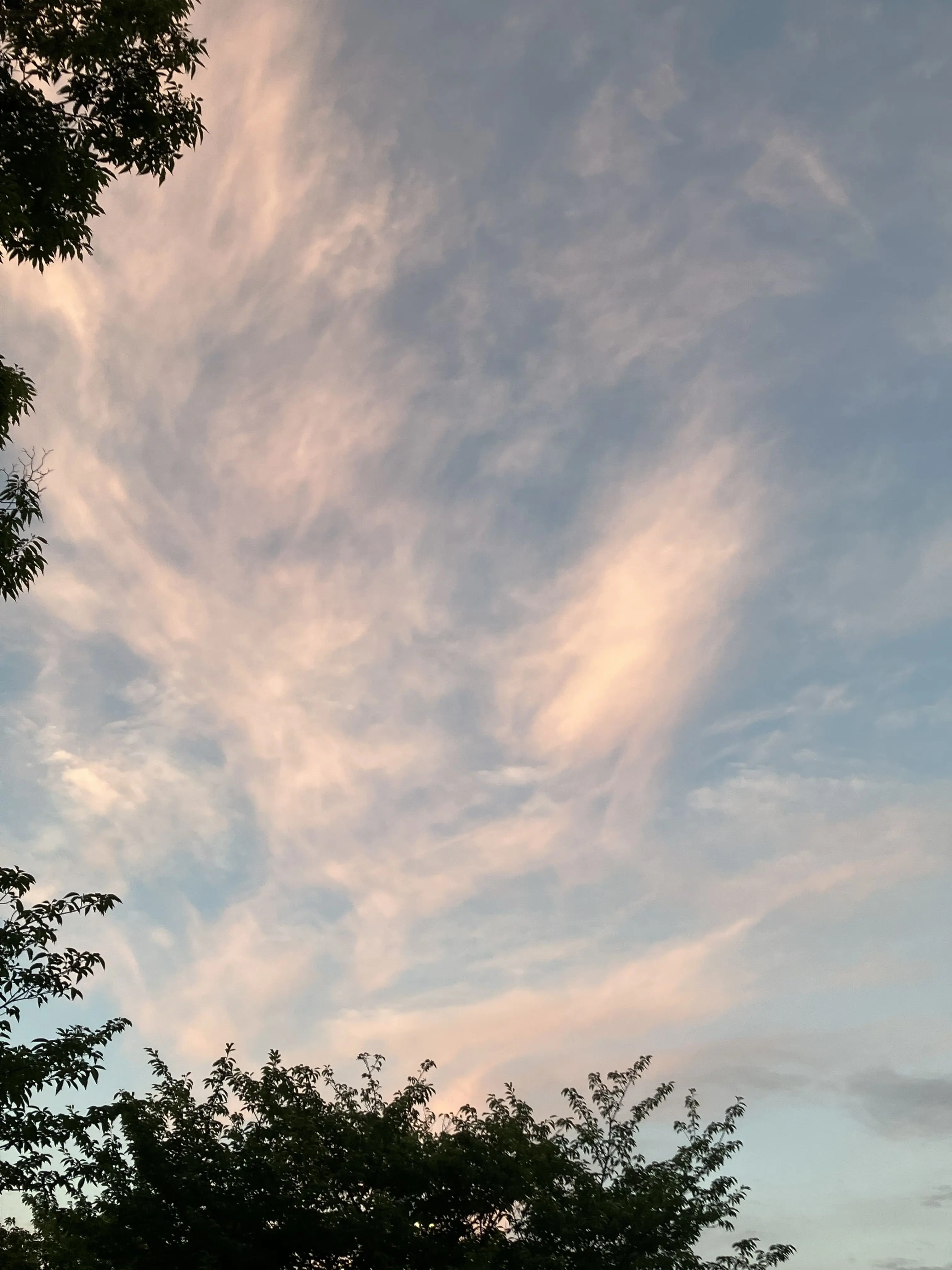 PlacidSound5174의 ✮