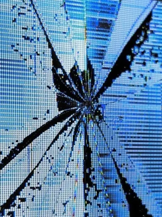 NuttyVole2860의 01110011