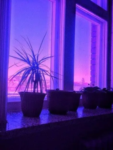 Blanked.love의 0107