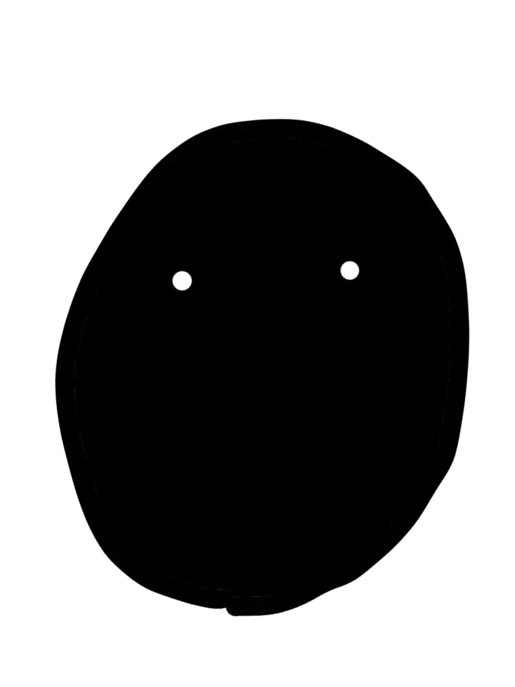 Furin_Gatto의 不思議な生き物(？)「クロマルくん」