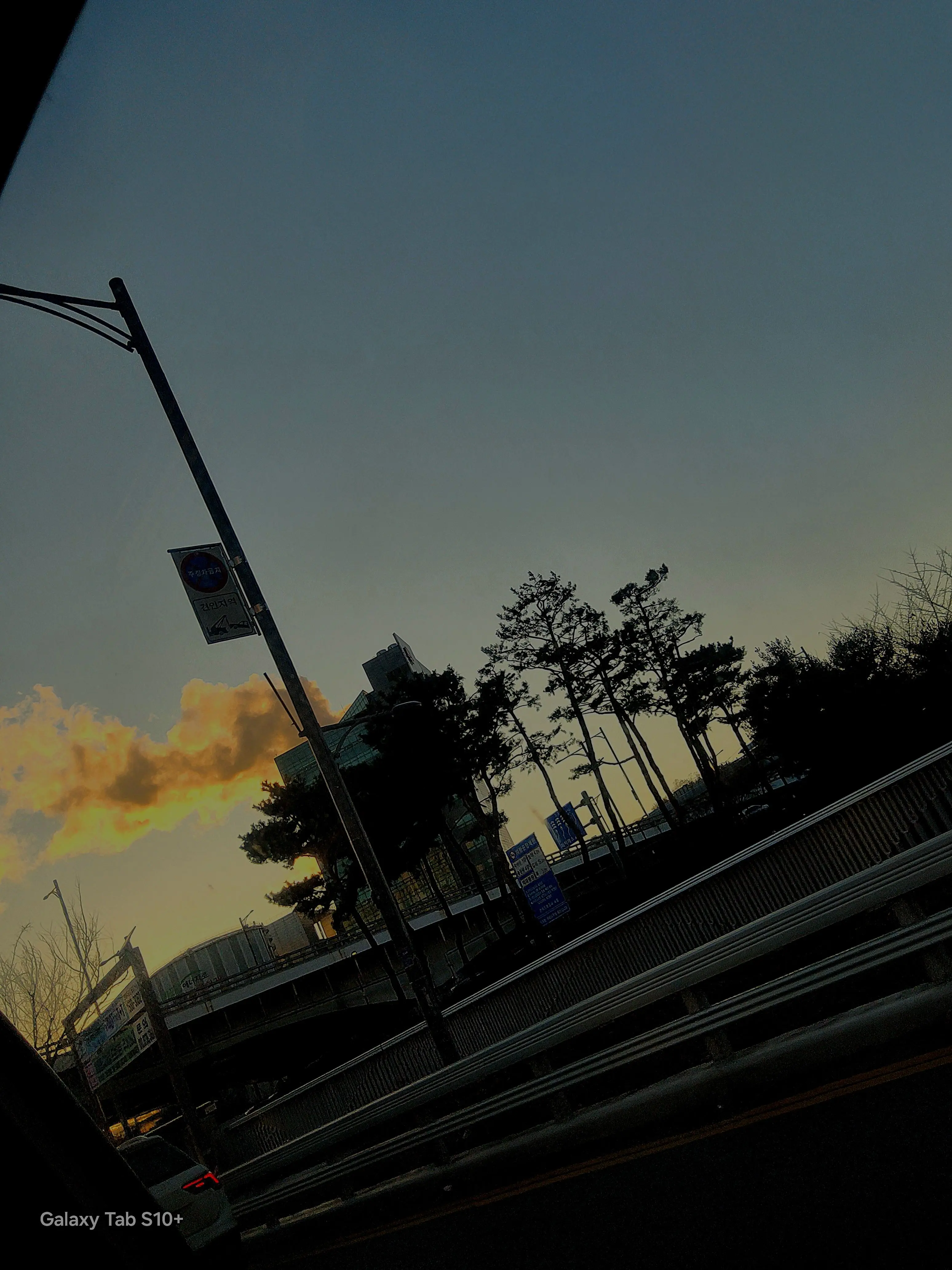 LushPath3899의 °-팀나빠&미겜즈+° {여우 추가}