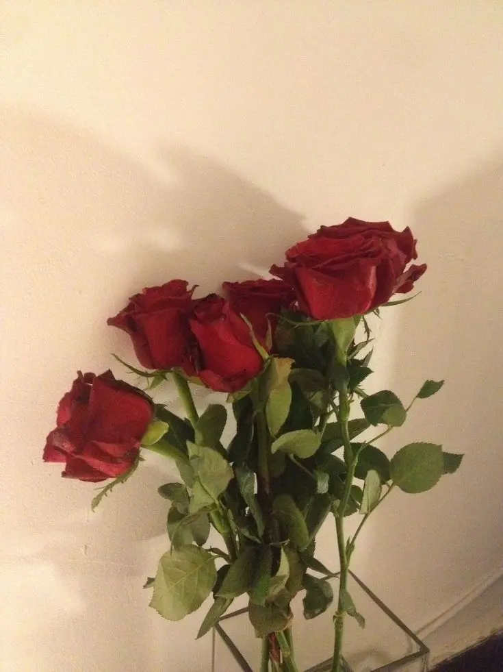 txe_nri의 개인용입니다. 건들지 말아주세요