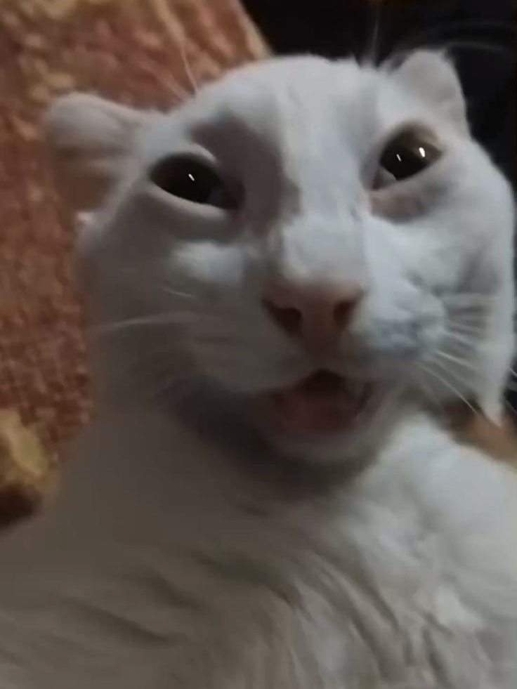 이모지 그만 써 대표 이미지