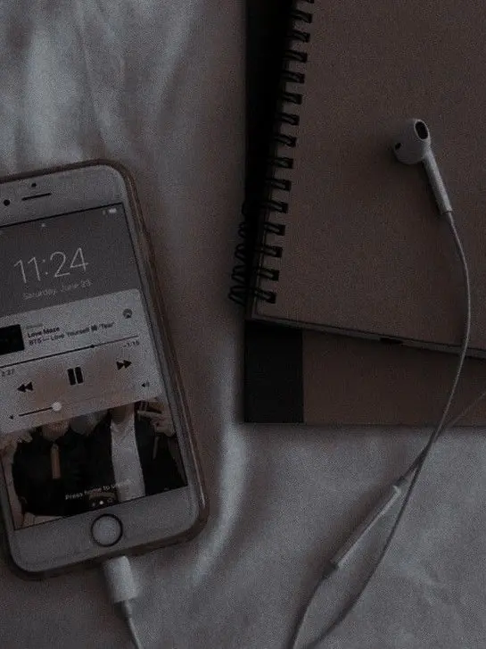 IYT의 곰숭 / 인기녀