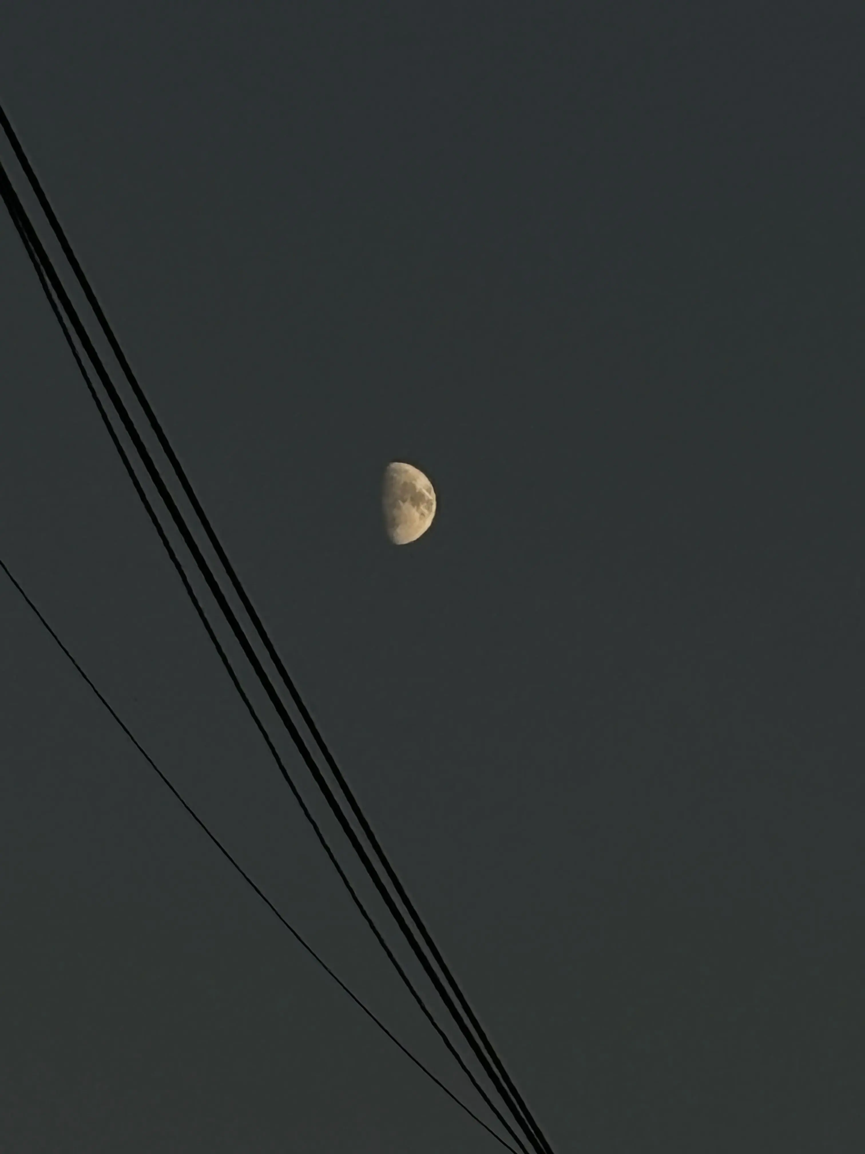 yosan.g의 스코시즘