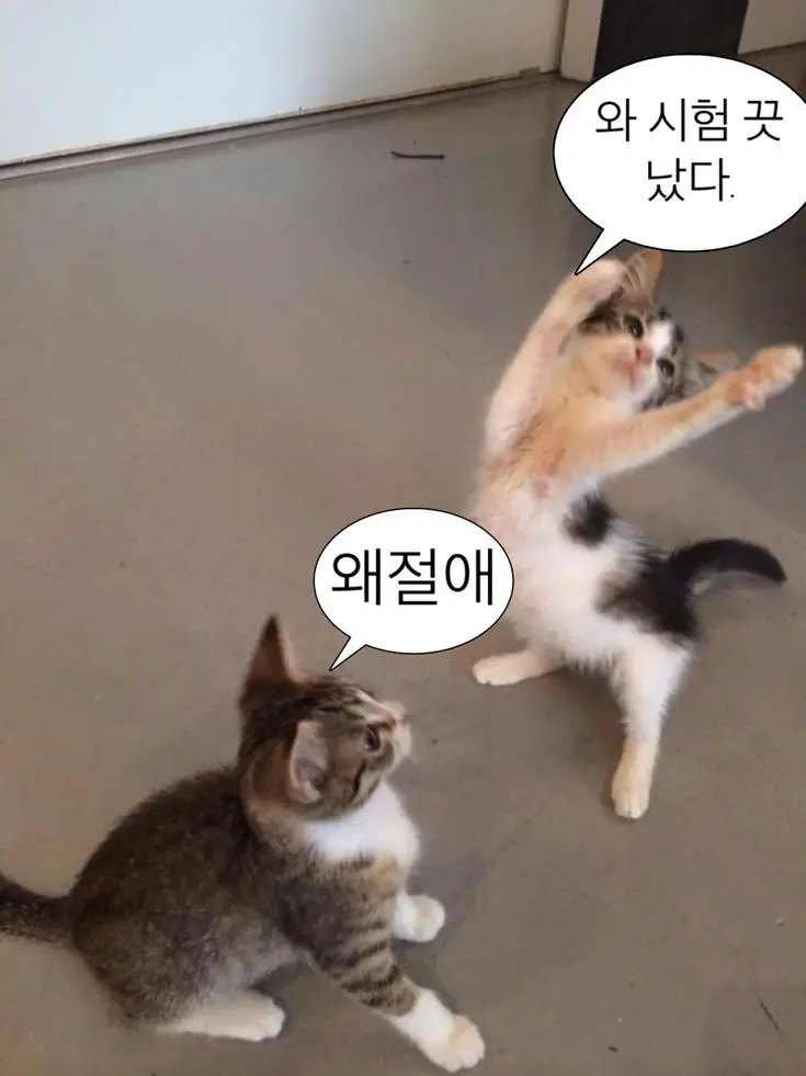 TougenAnki-Sakadays_Lover14의 사카데이 남캐들