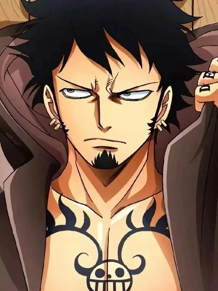Novachanz의 Trafalgar D. Law