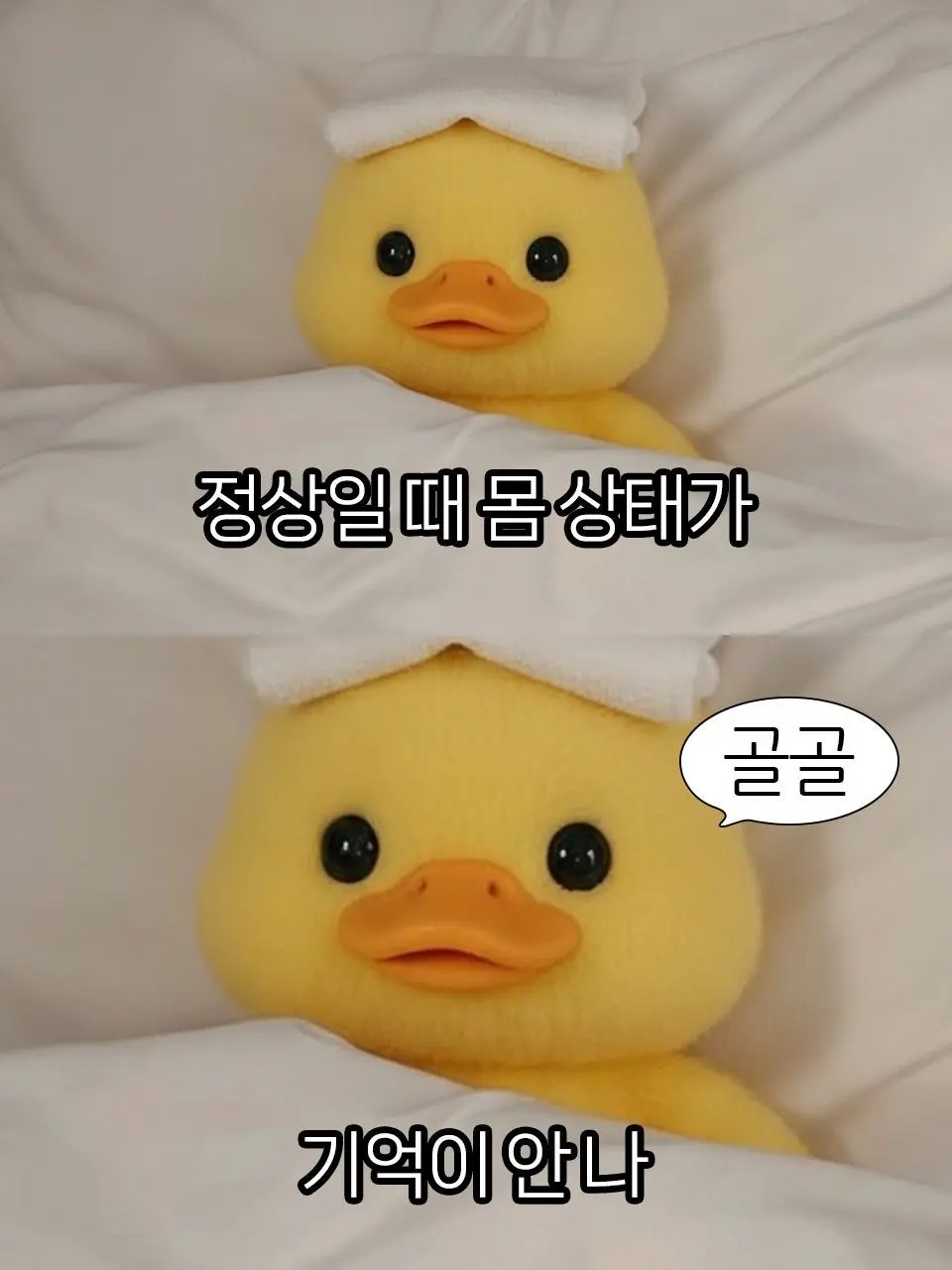 SleeR의 오늘 전학 첫 날인데 ㅈ된 거 같다