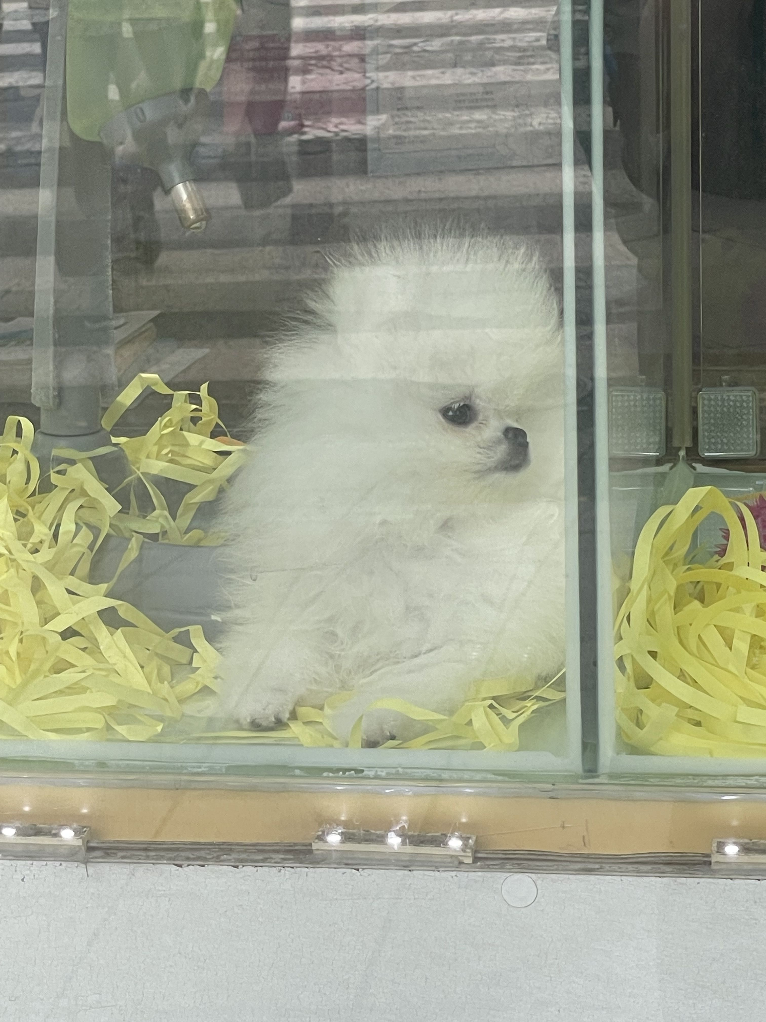옐로랑 워터파크 가세요!! 대표 이미지