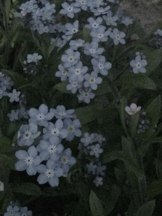 MOAin_2019_3.4의 꽃 au
