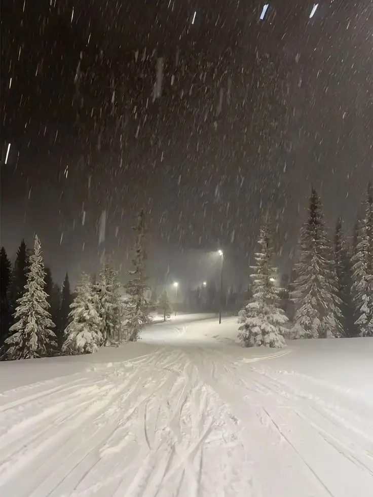 y.si_a12의 내가 죽으려고 생각한 것은.