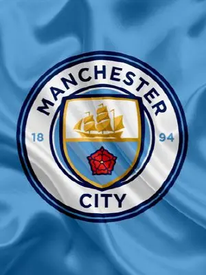 Goodmanbro의 EPLサッカー選手のオフシーズンシミュレーター