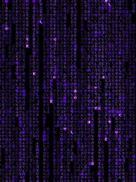 ”君は私だけの愛猫だよ。” 대표 이미지