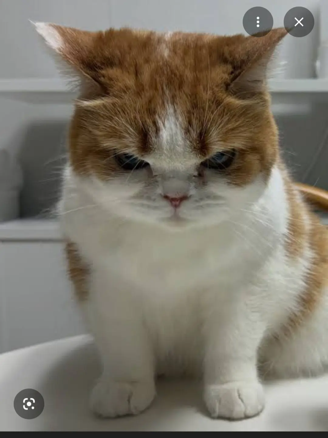 CleanGlue7155의 여자유튜버+터닝메카드+수학여행