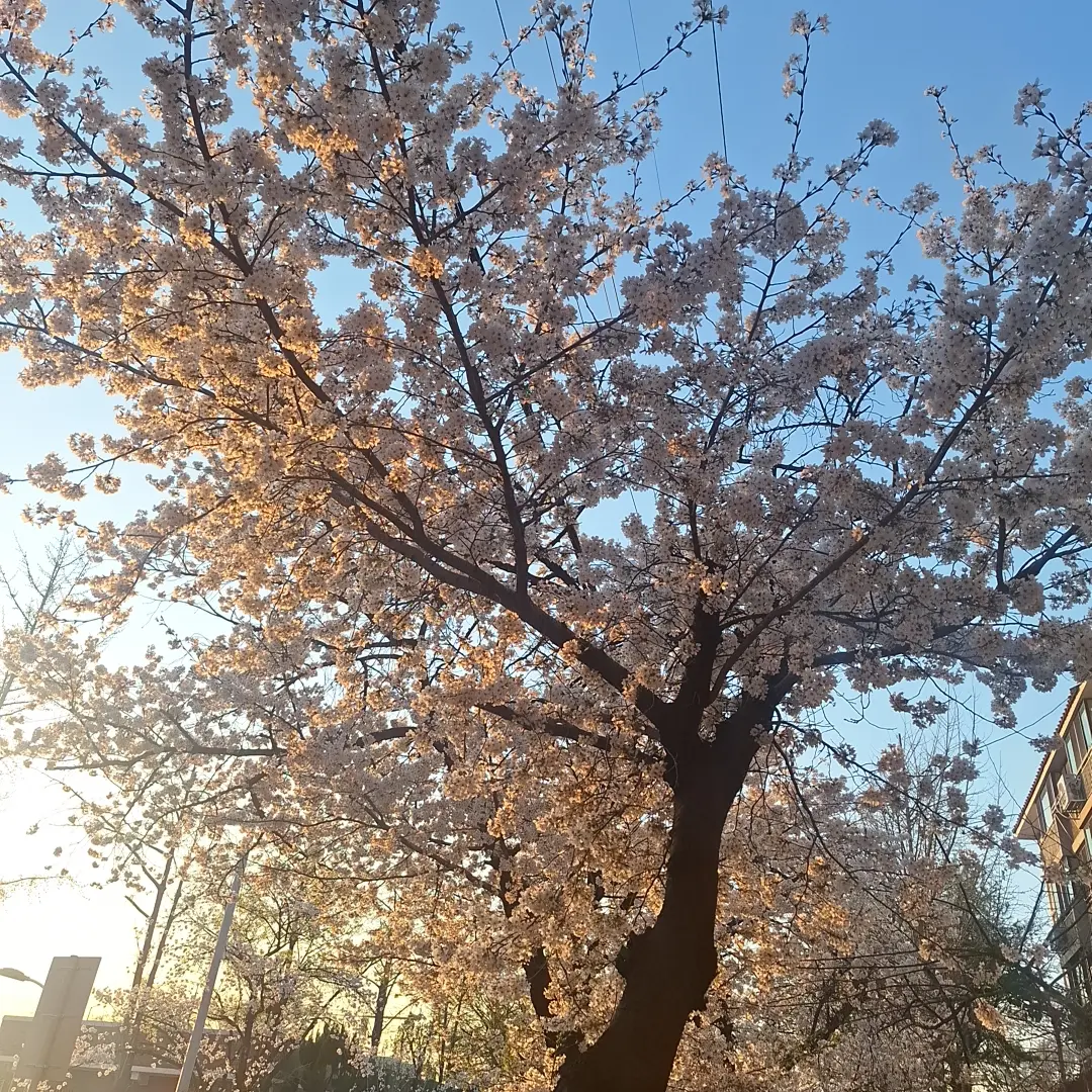 FoggyDull3405의 윤쫑쫑
