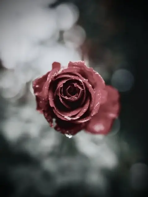 I_want_to_be_a_human의 사람 때리지 말라고.