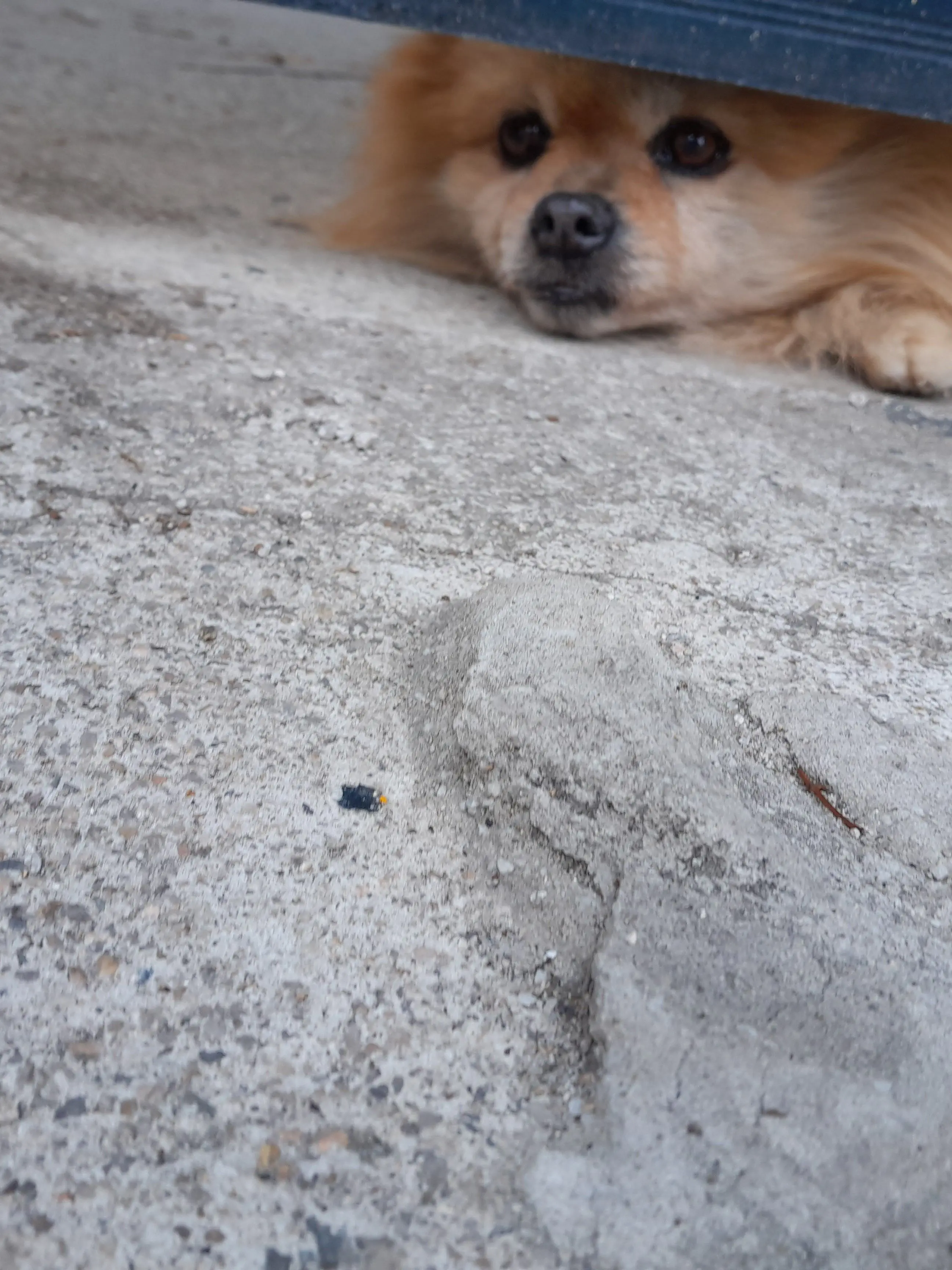 Malcha_0207의 조선 픽셀리