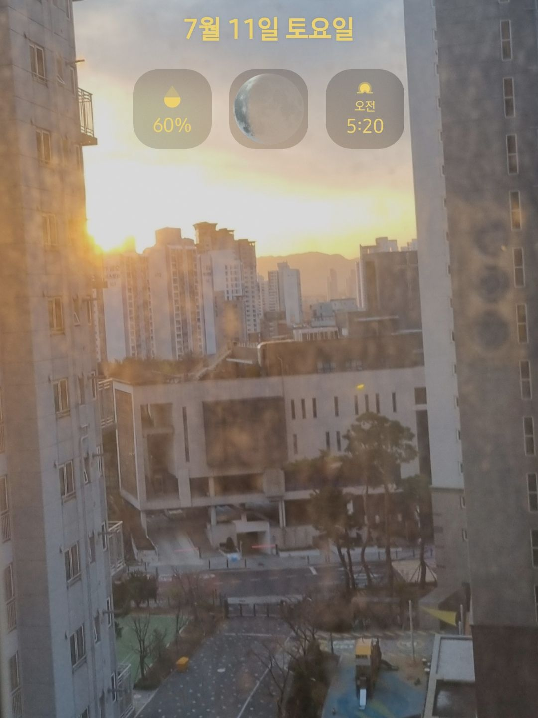 블테 감정들과 동거 대표 이미지