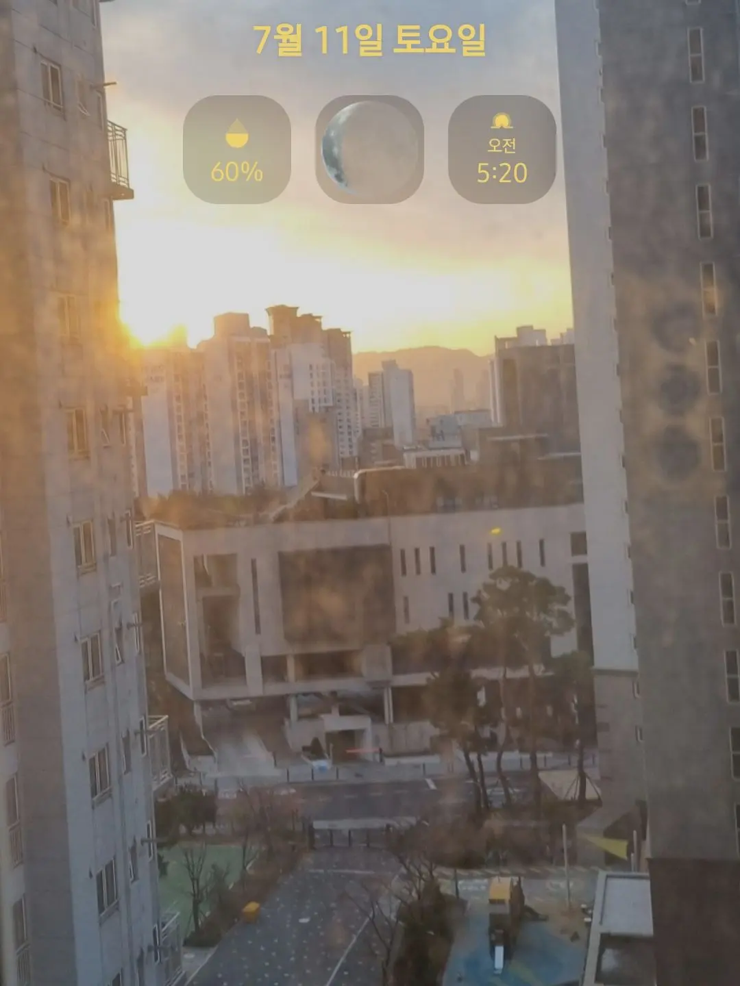 Cinnamoroll1020의 블테 감정들과 동거