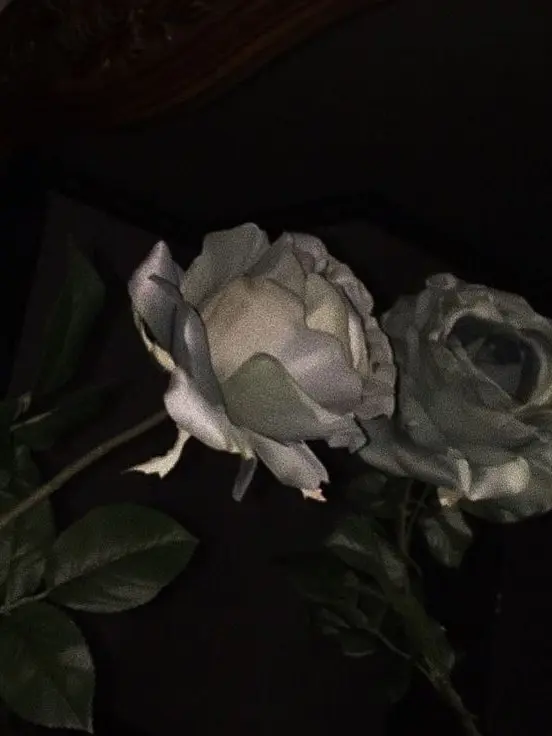 To.yours의 無意味だということ。