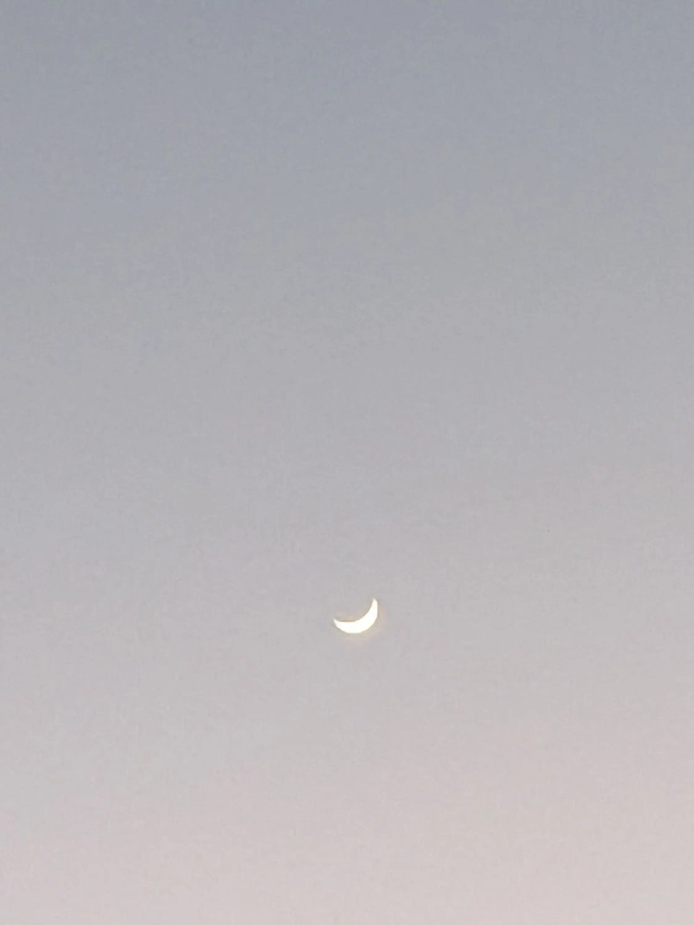 WindyEel7121의 バゥムクゥヘン剣持