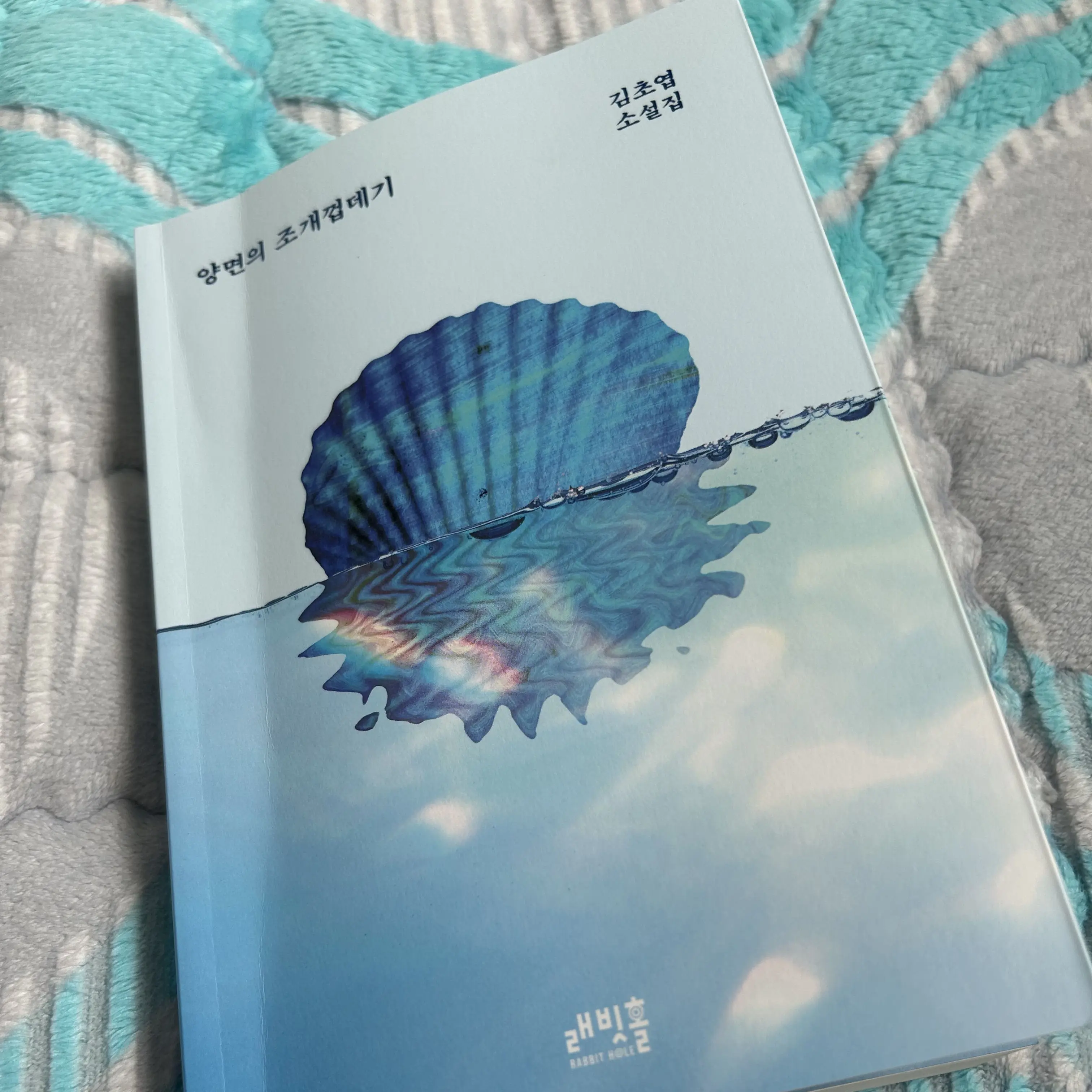 Reincarnationschoolmonster412의 양면의 조개 껍데기 🍋🍋‍🟩