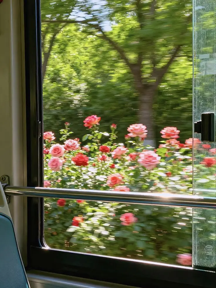 9958-IN의 발⑊렌❦타인데❤︎이