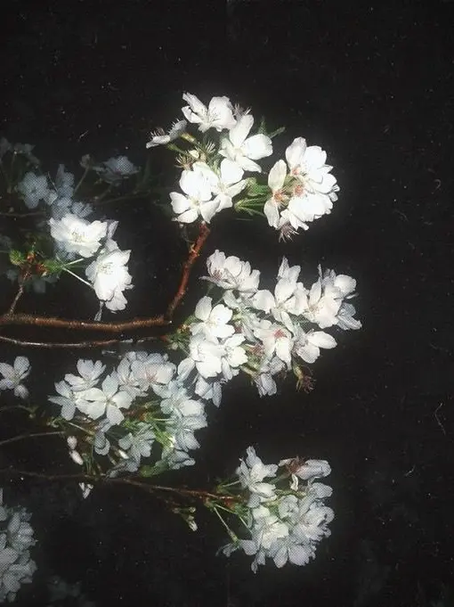 SUhJ의 모든 희망을 잃어버린 나에게.