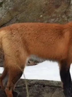 Hucucu_8의 [ 우결 ]  패 러 다 이 스