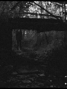 FeelzMythcial의 The Slender Mansion