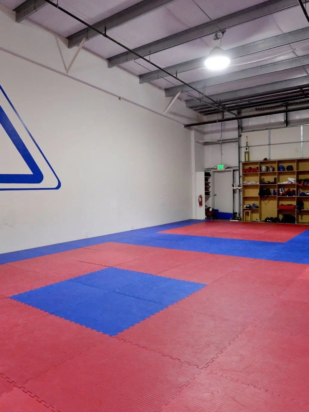 zezo의 BJJ life