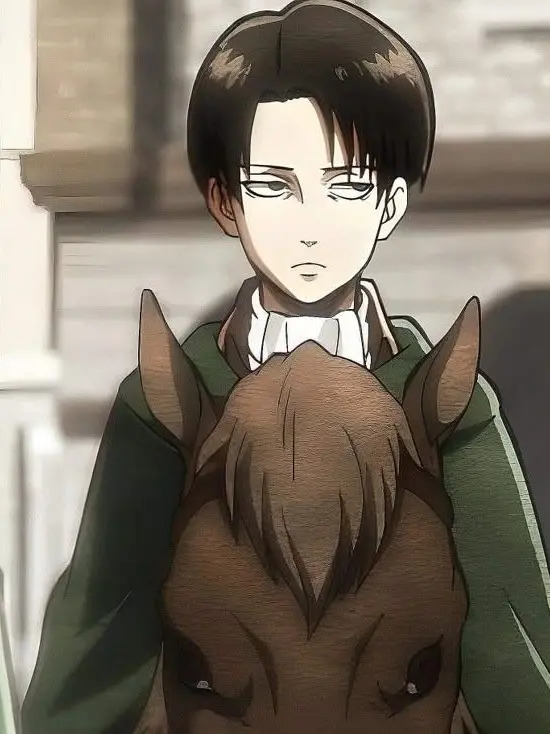 Miamia2820의 リヴァイ・アッカーマン