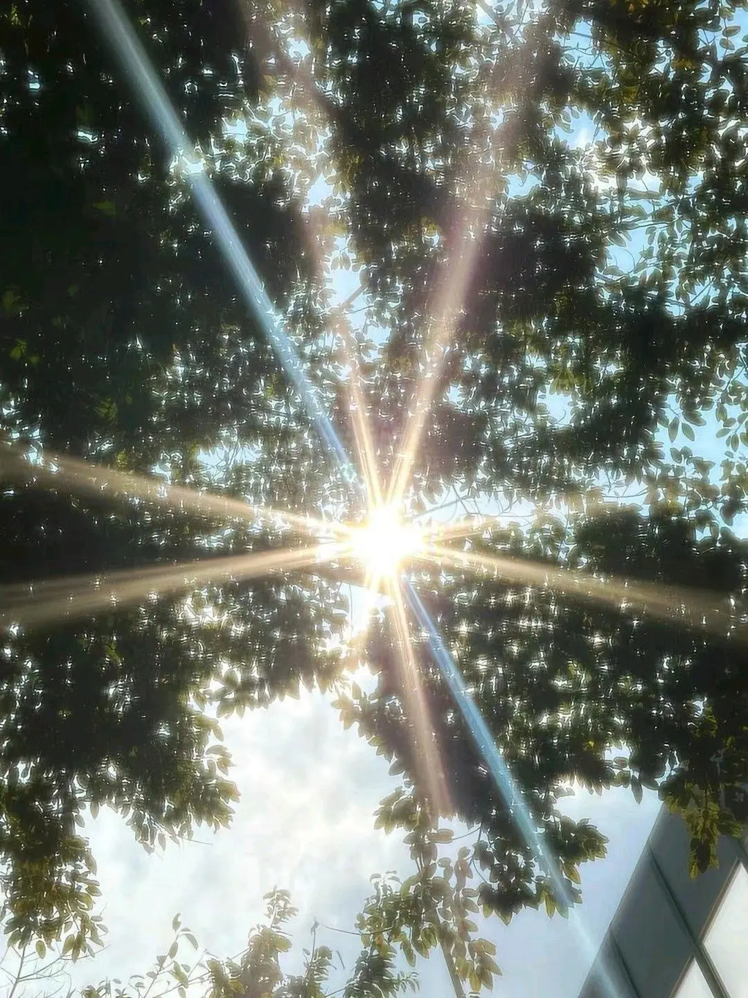 CrispyFloor3702의 ald1のマネージャーに！？