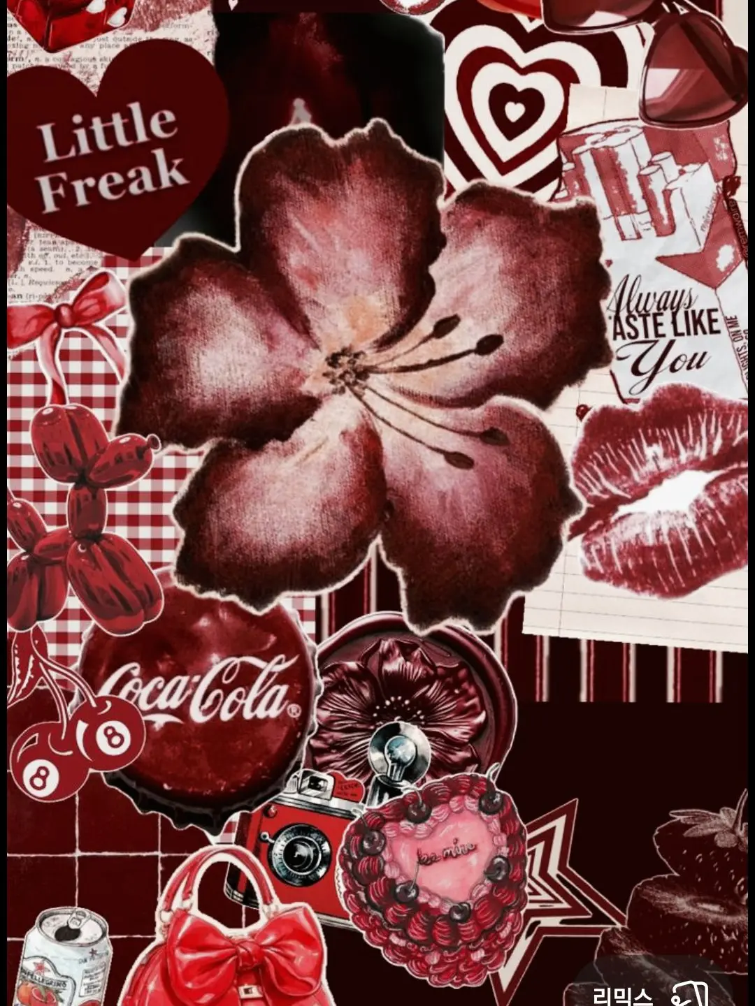 soda_hii의 Z조직과 S조직 👀