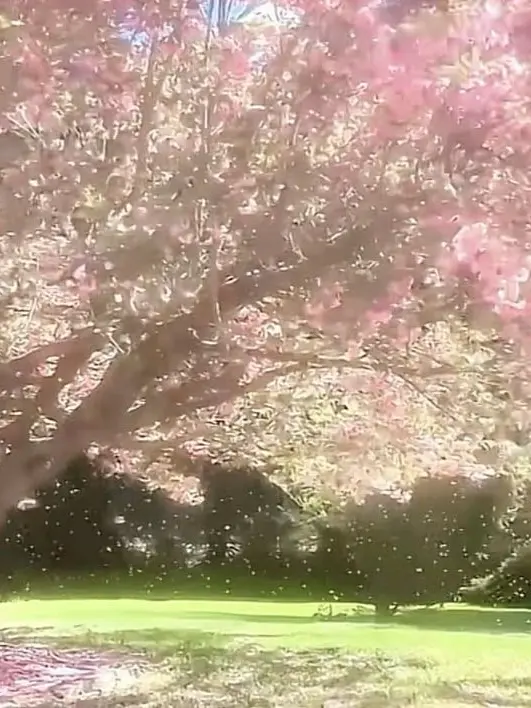 FANGURLSARELOVELY_186의 Childhood friends
