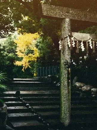 RiskyBrug9299의 イケメンの裏の顔