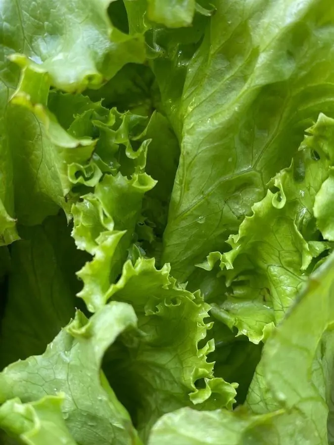 Riiiiiiide의 카 운 터