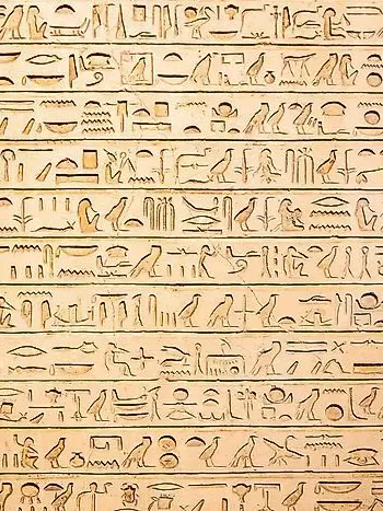 LovelyDingo9006의 수천년 지나 마침내 선택받은