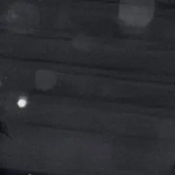 NeedyDeli1760의 안건호