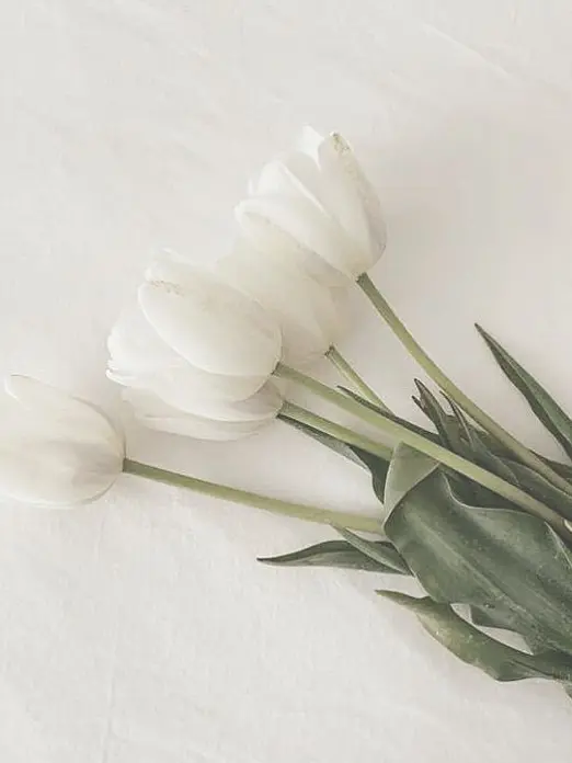 thesunny1125의 도저히 어떻게 해야하는지 모르겠어..