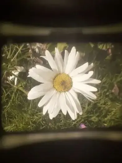 VIP0819의 신데렐라