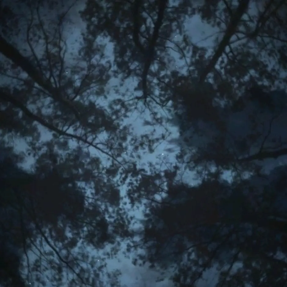 QuietMoth7079의 《짐승의 굴레》